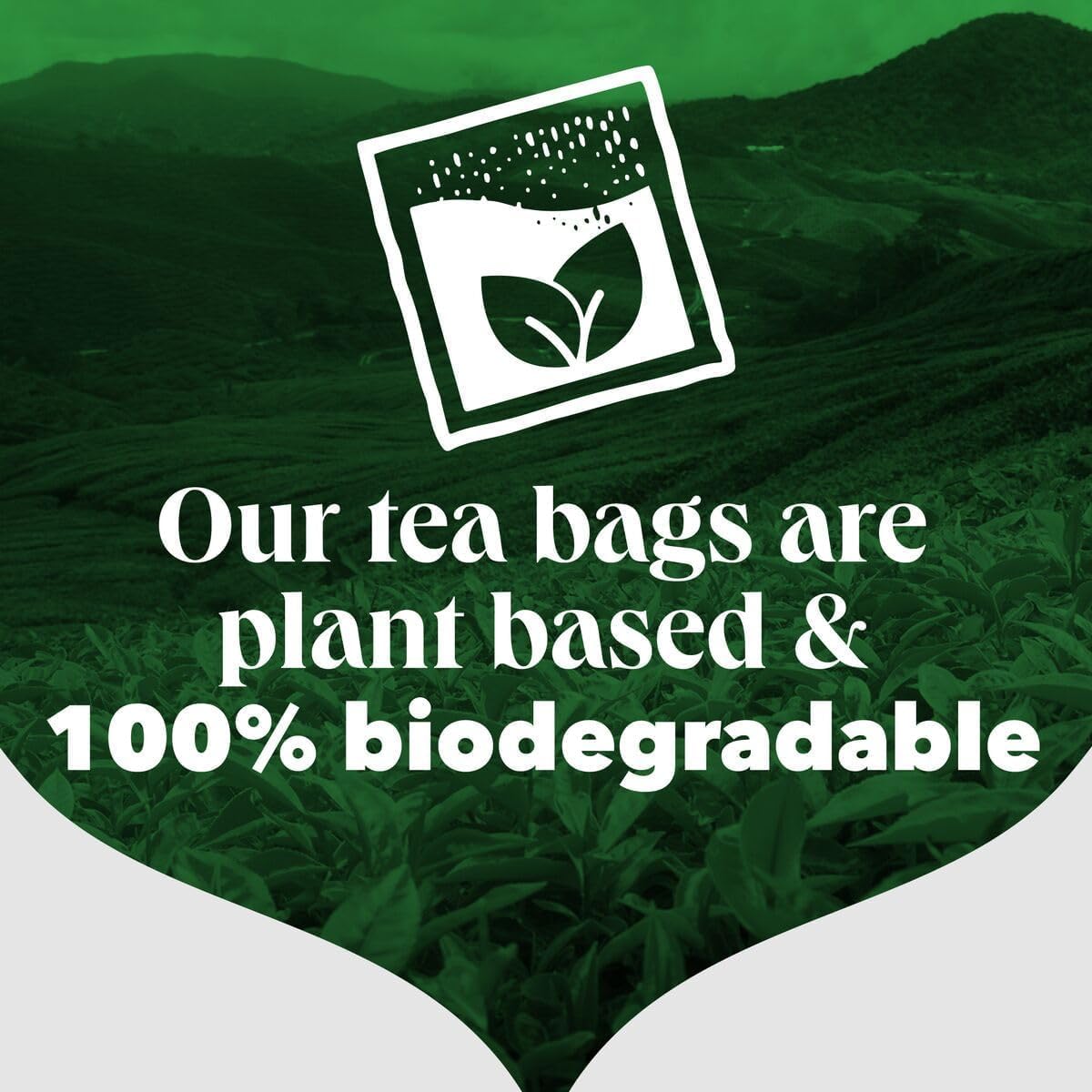 PG Tips Catering One Cup Tea Bags - 2x1100