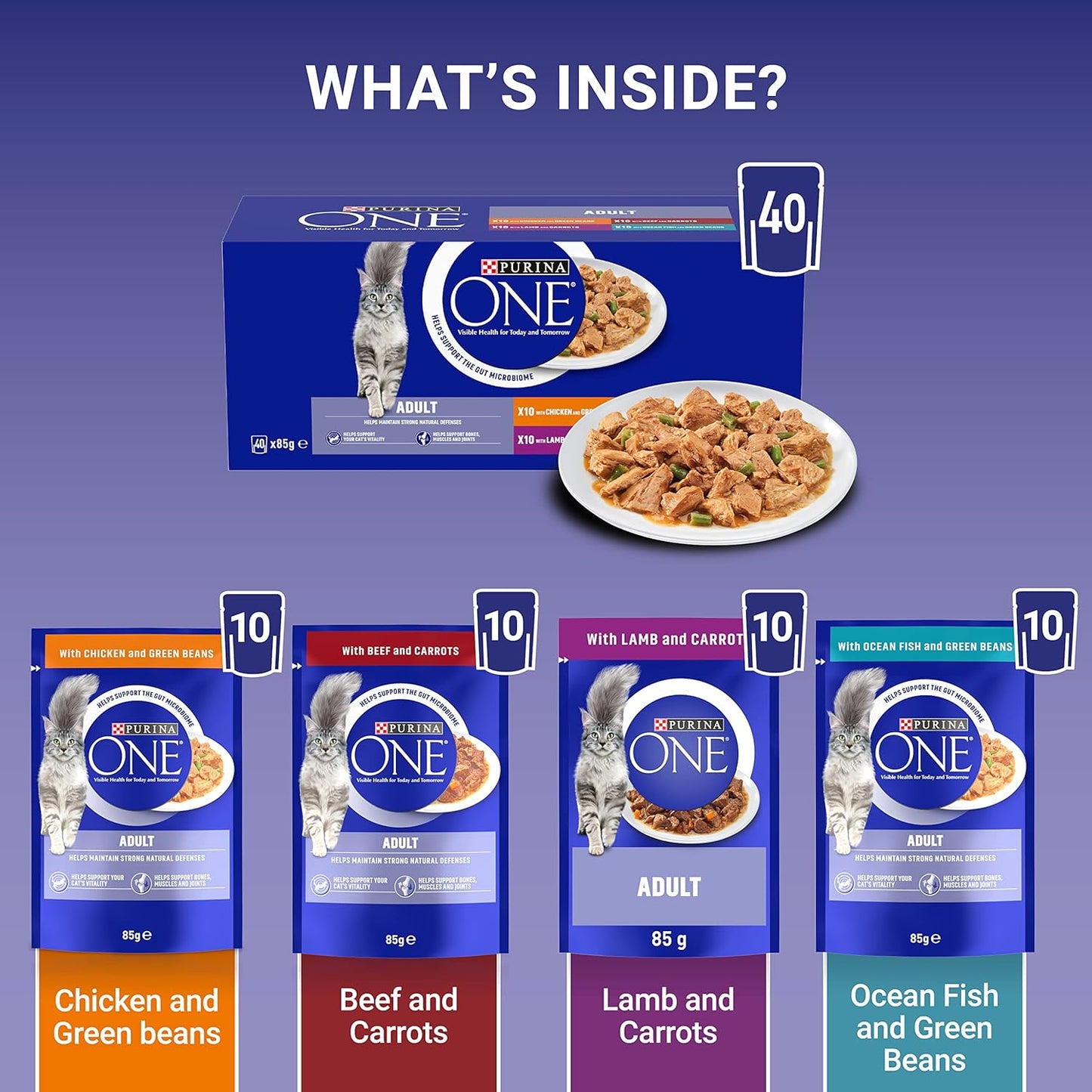PURINA ONE Adult Cat Food Mini Fillets in Gravy 40 x 85g