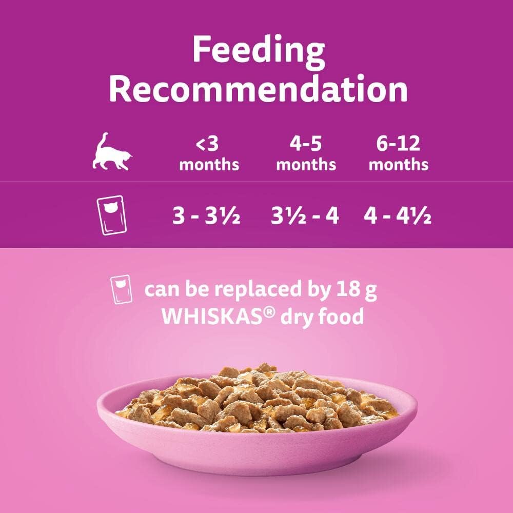 Whiskas Junior Poultry Selection in Jelly 48 x 85 g Pouches, Kitten Cat Food, Pack of 4 (12 x 85 g)
