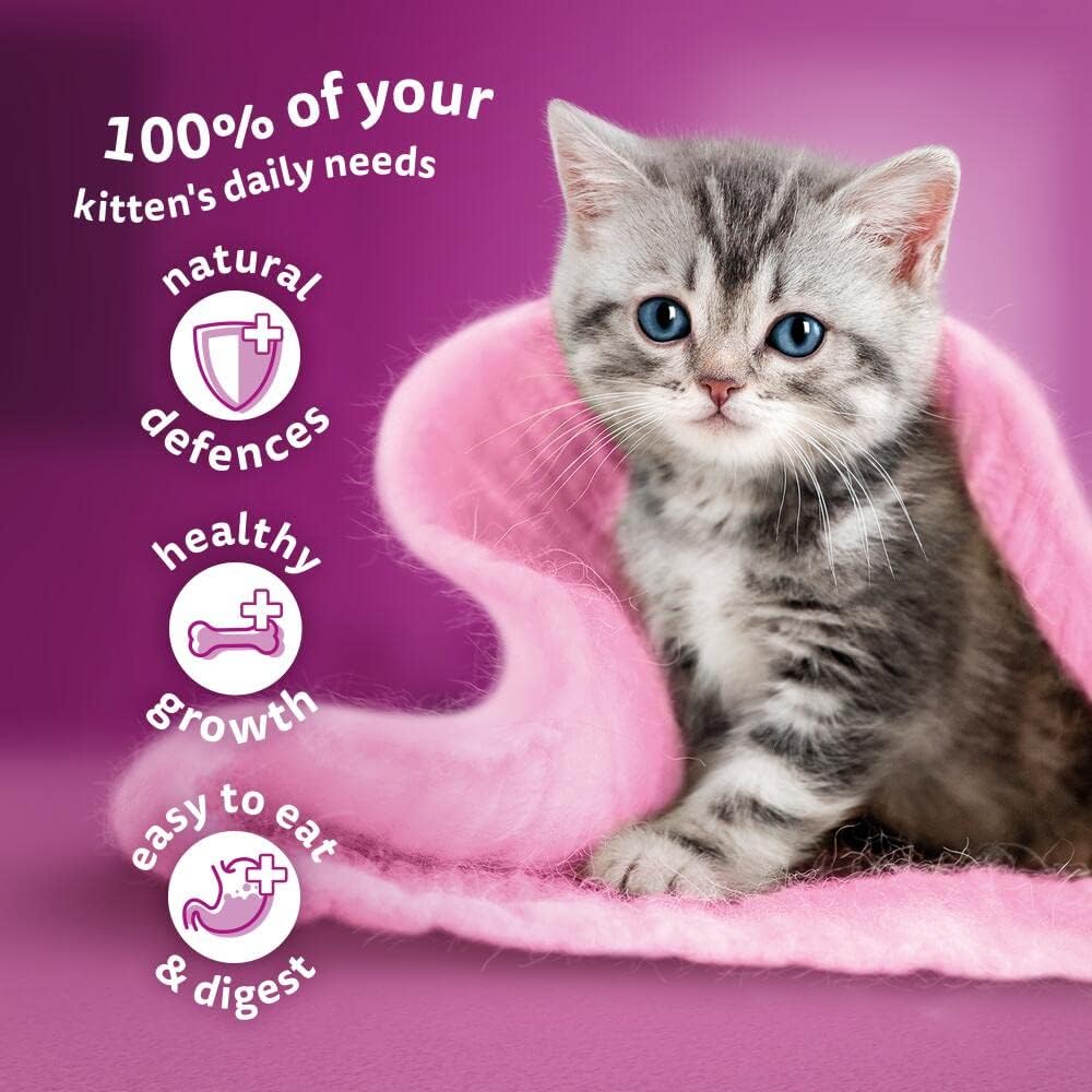 Whiskas Junior Poultry Selection in Jelly 48 x 85 g Pouches, Kitten Cat Food, Pack of 4 (12 x 85 g)