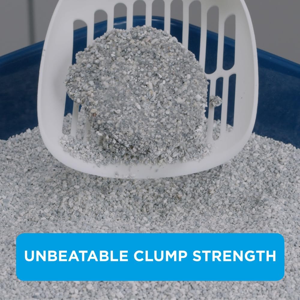 Ever Clean Clumping Cat Litter – 10L, Multiple Cat, Scented