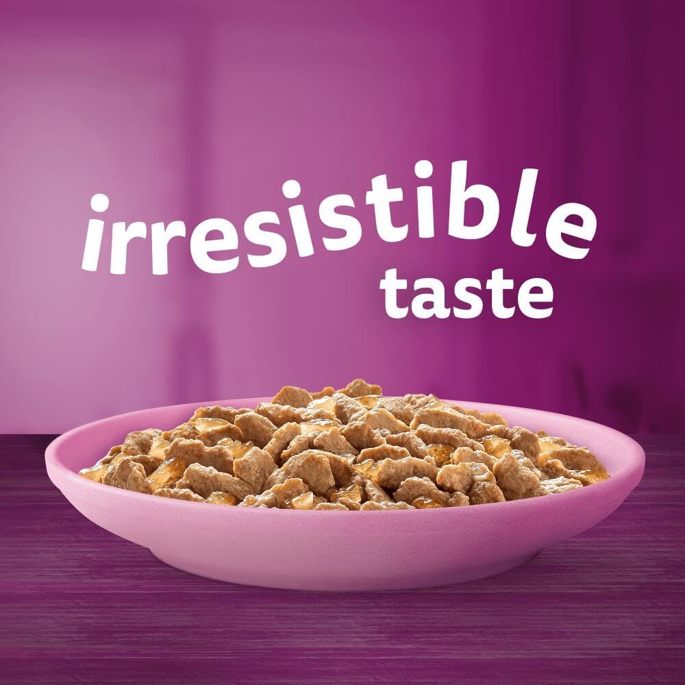 Whiskas Junior Poultry Selection in Jelly 84 x 85g Pouches – Wet Kitten & Cat Food Megapack