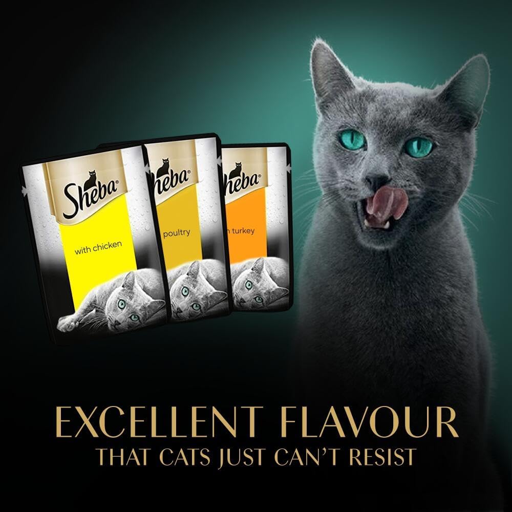 Sheba Fresh &amp; Fine Poultry in Gravy – Wet Cat Food, 50 x 50g Pouches