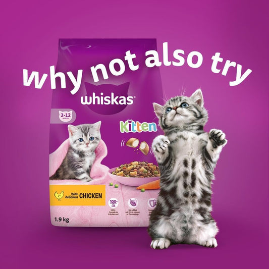 Whiskas Junior Poultry Selection in Jelly 84 x 85g Pouches – Wet Kitten & Cat Food Megapack