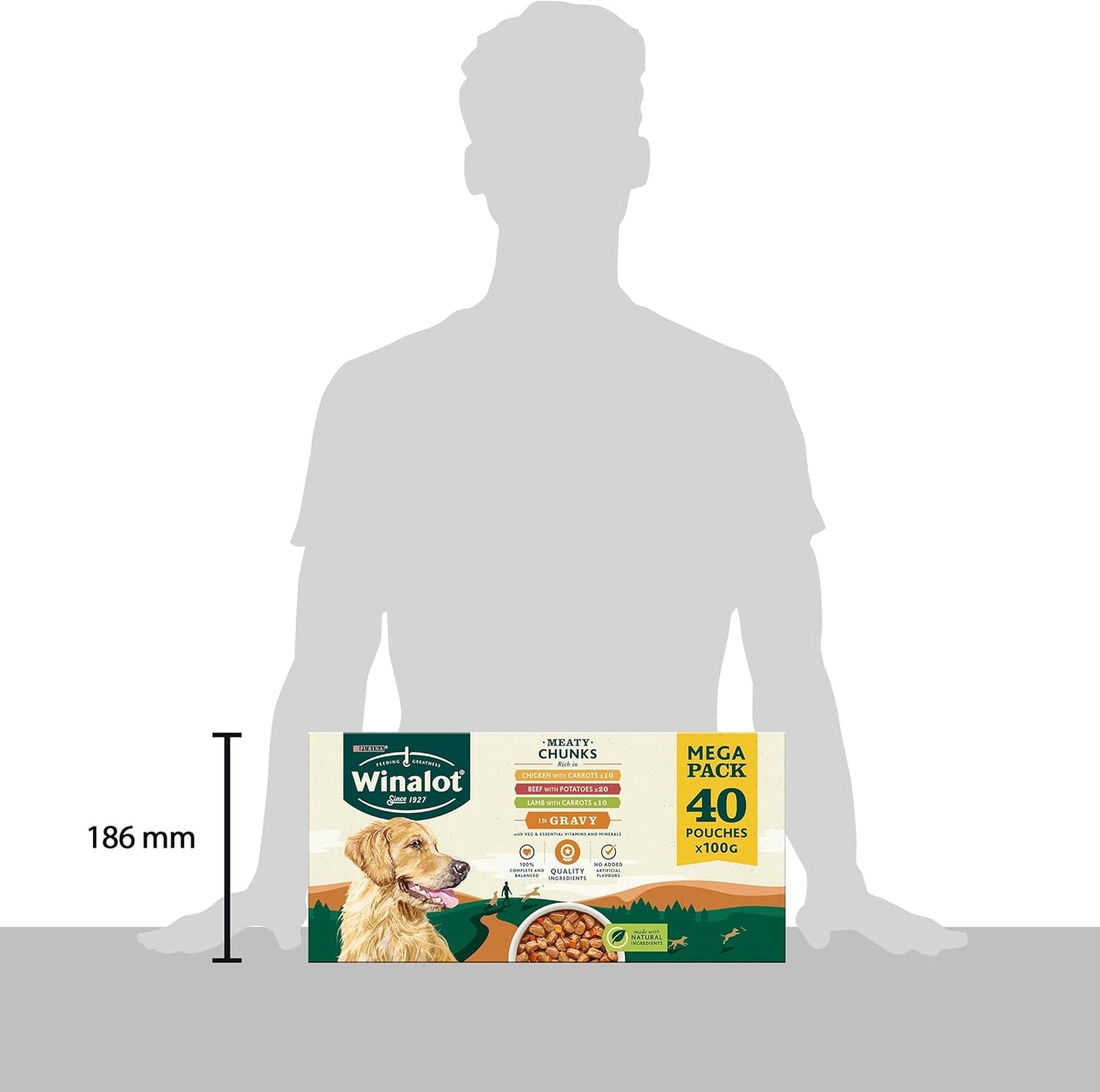 WINALOT Meaty Chunks Mixed in Gravy Wet Dog Food – 40 x 100g Pouches