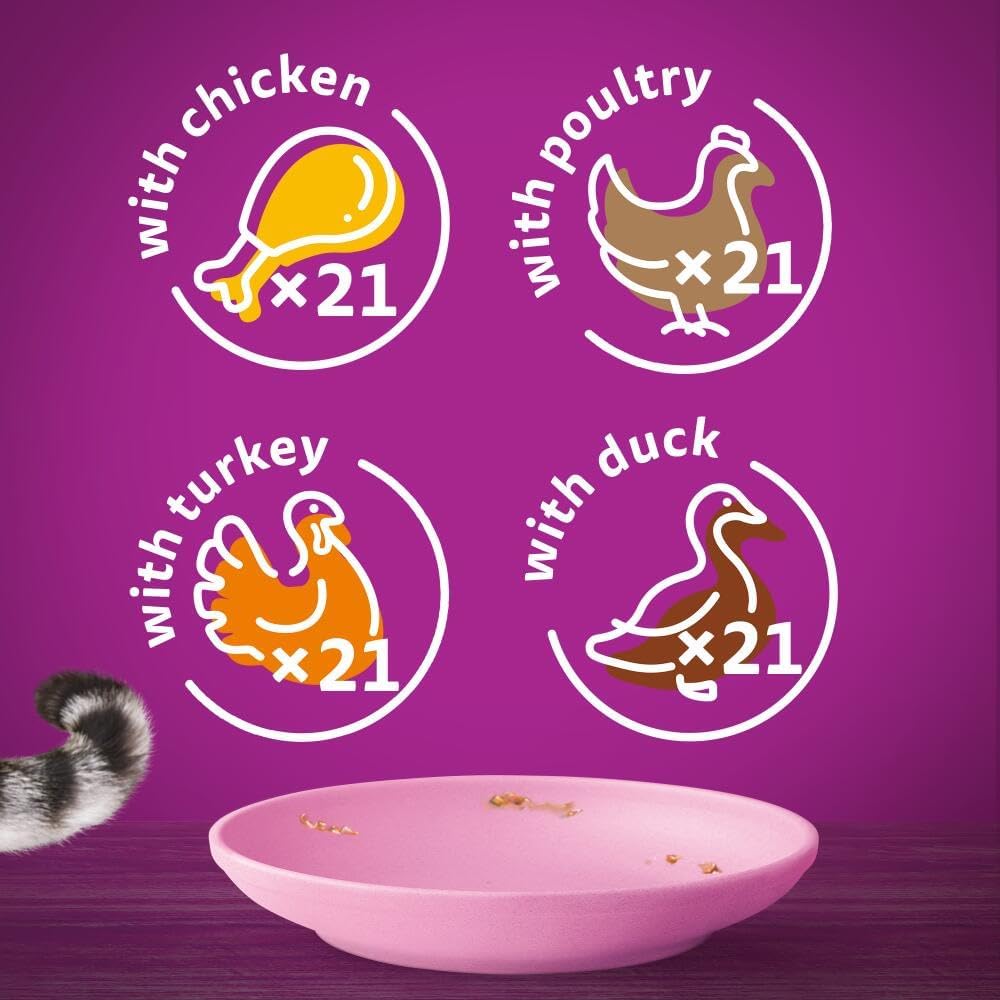 Whiskas Junior Poultry Selection in Jelly 84 x 85g Pouches – Wet Kitten & Cat Food Megapack