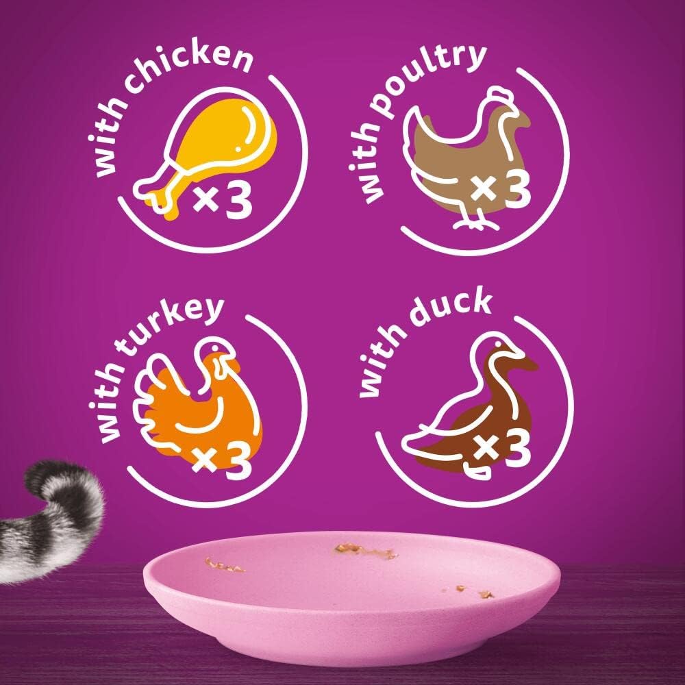 Whiskas Junior Poultry Selection in Jelly 48 x 85 g Pouches, Kitten Cat Food, Pack of 4 (12 x 85 g)