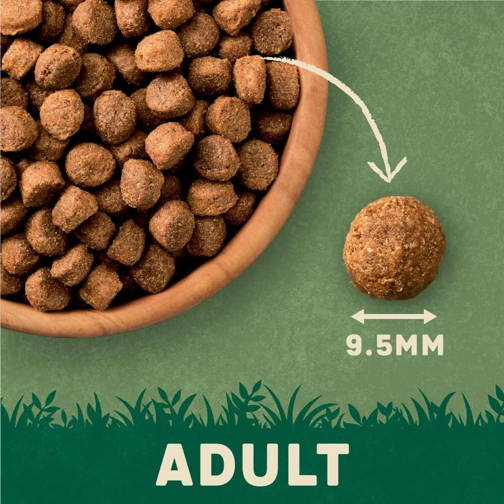 Harringtons Complete Dry Adult Dog Food – Lamb &amp; Rice, 15kg