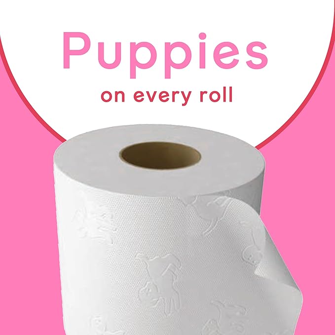 Andrex Family Soft Toilet Tissue 72 Rolls – Bulk Pack