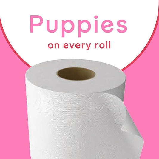 Andrex Family Soft Toilet Tissue 72 Rolls – Bulk Pack