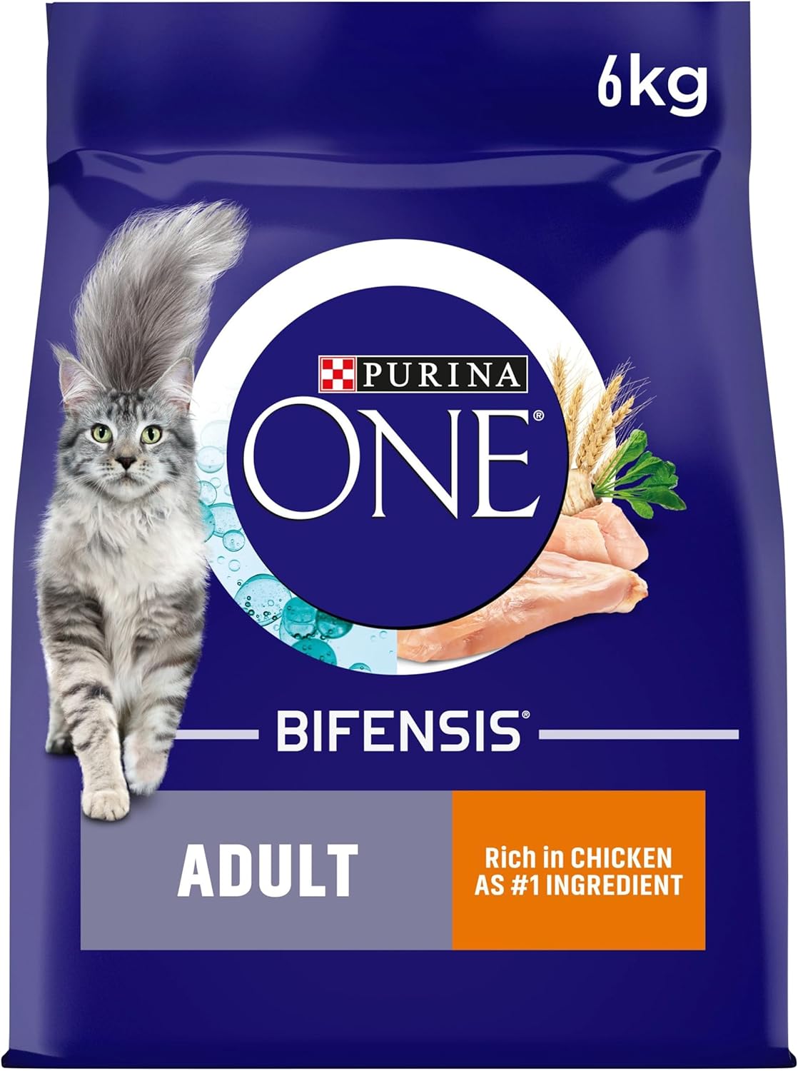PURINA ONE Chicken Dry Cat Food – 6kg