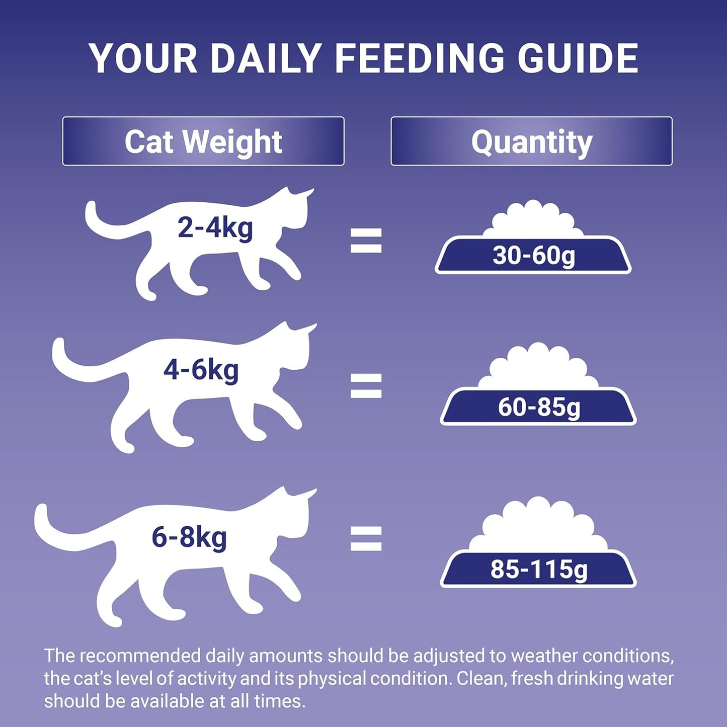 PURINA ONE Salmon Dry Cat Food 800g (Pack of 4)