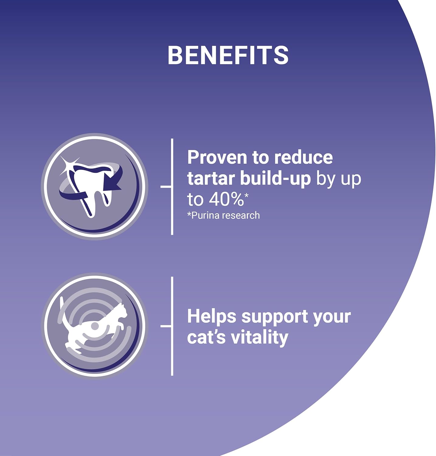 PURINA ONE Salmon Dry Cat Food 800g (Pack of 4)