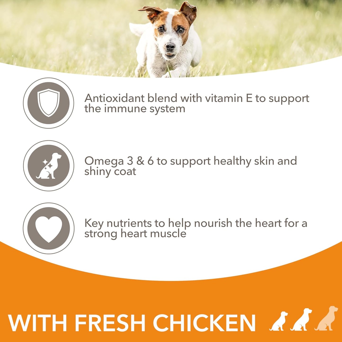 IAMS Adult Small Medium Complete Dry Dog Food Chicken 12kg - With DentalCare System