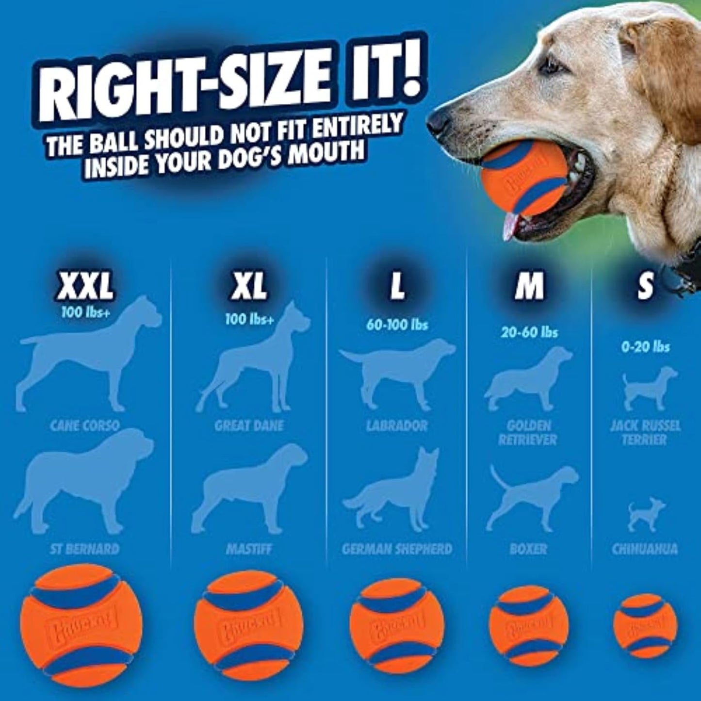 Chuckit! Ultra Ball Dog Toy – 8 Pack with Bucket, Medium