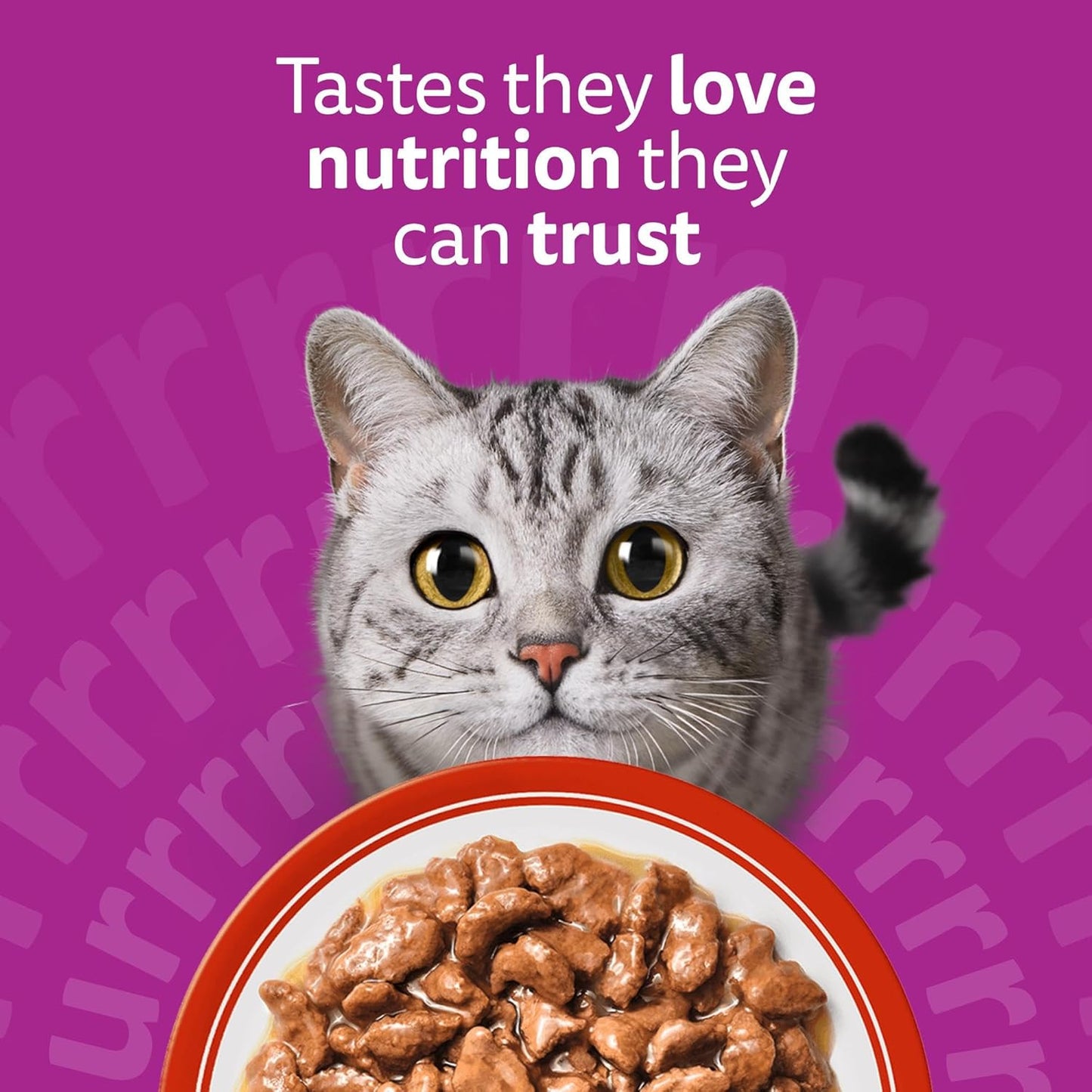 Whiskas 1+ Adult Classic Selection in Gravy | 84 x 85g