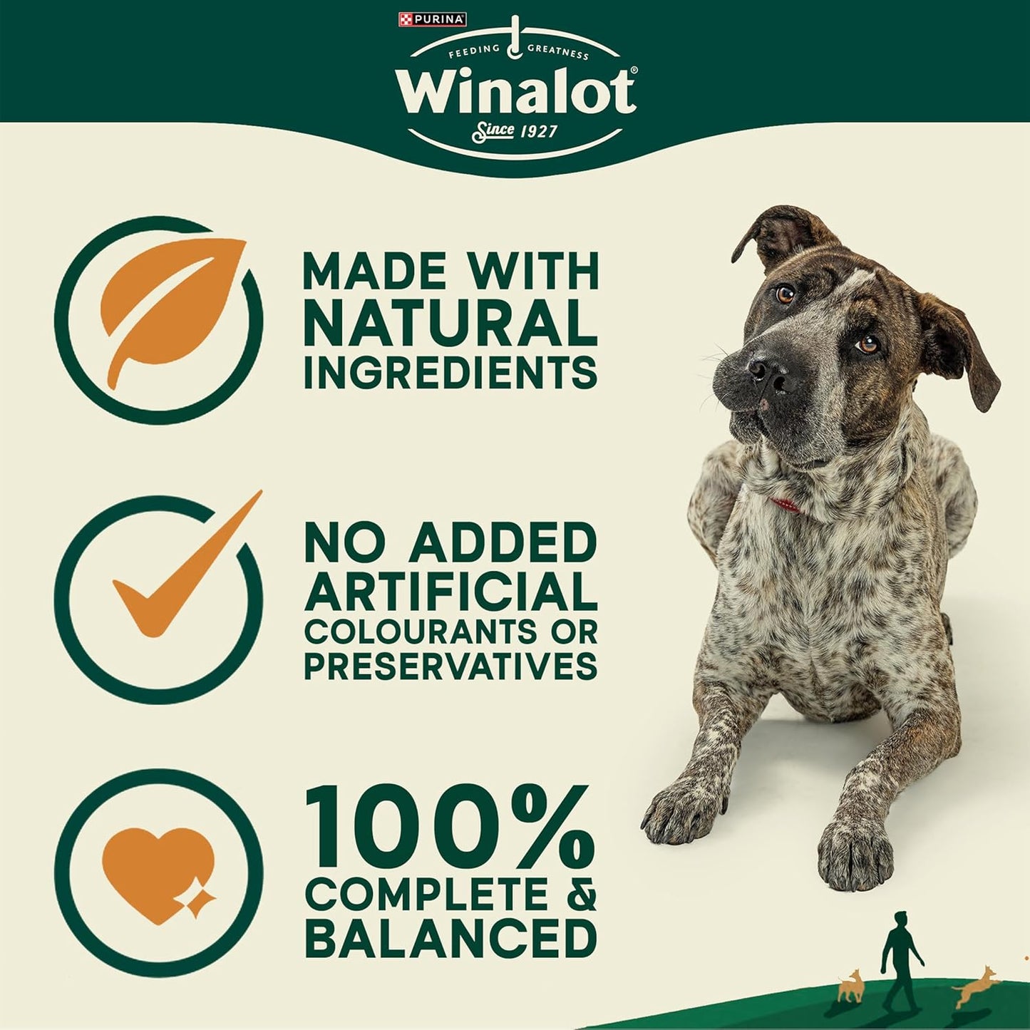 WINALOT Meaty Chunks Mixed in Gravy Wet Dog Food – 40 x 100g Pouches
