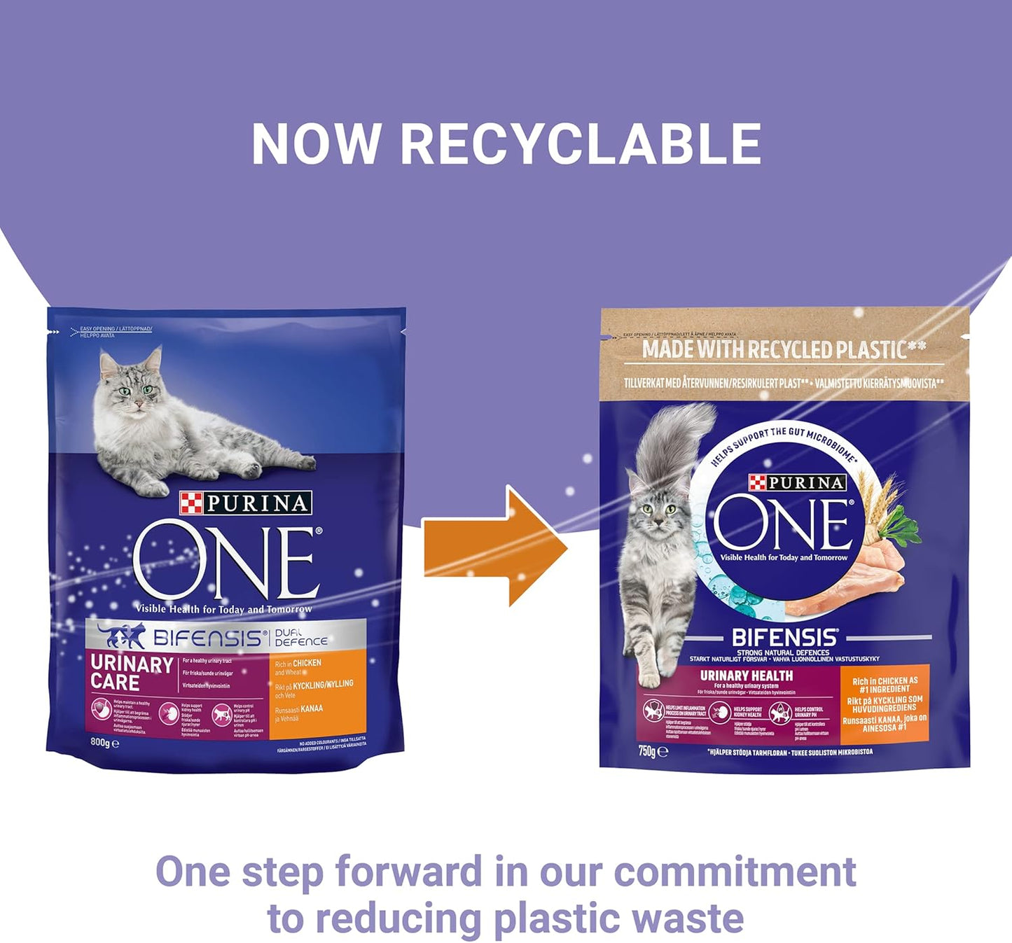 PURINA ONE Urinary Health Chicken Dry Cat Food 750g (Pack of 4)