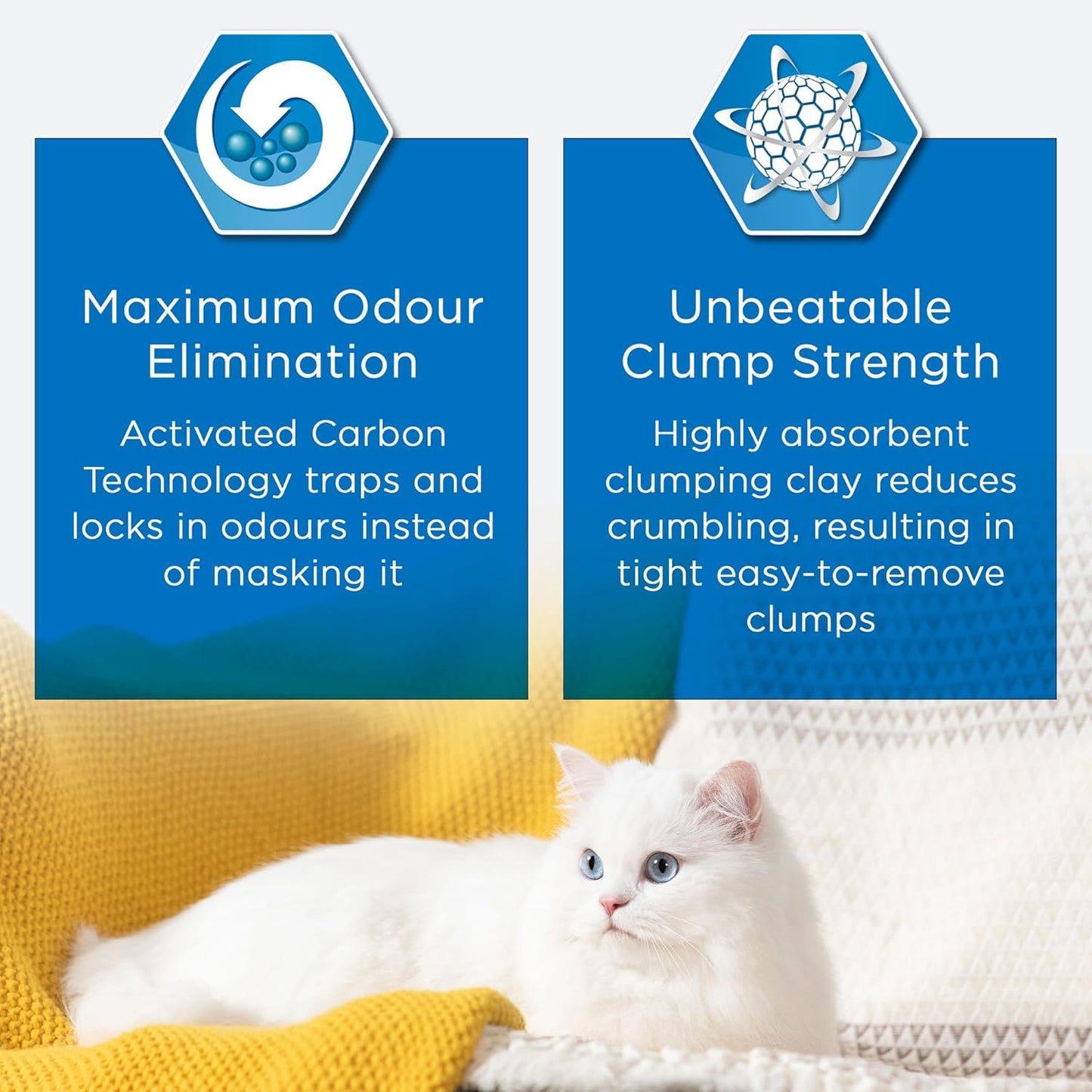 Ever Clean Clumping Cat Litter – 10L, Multiple Cat, Scented