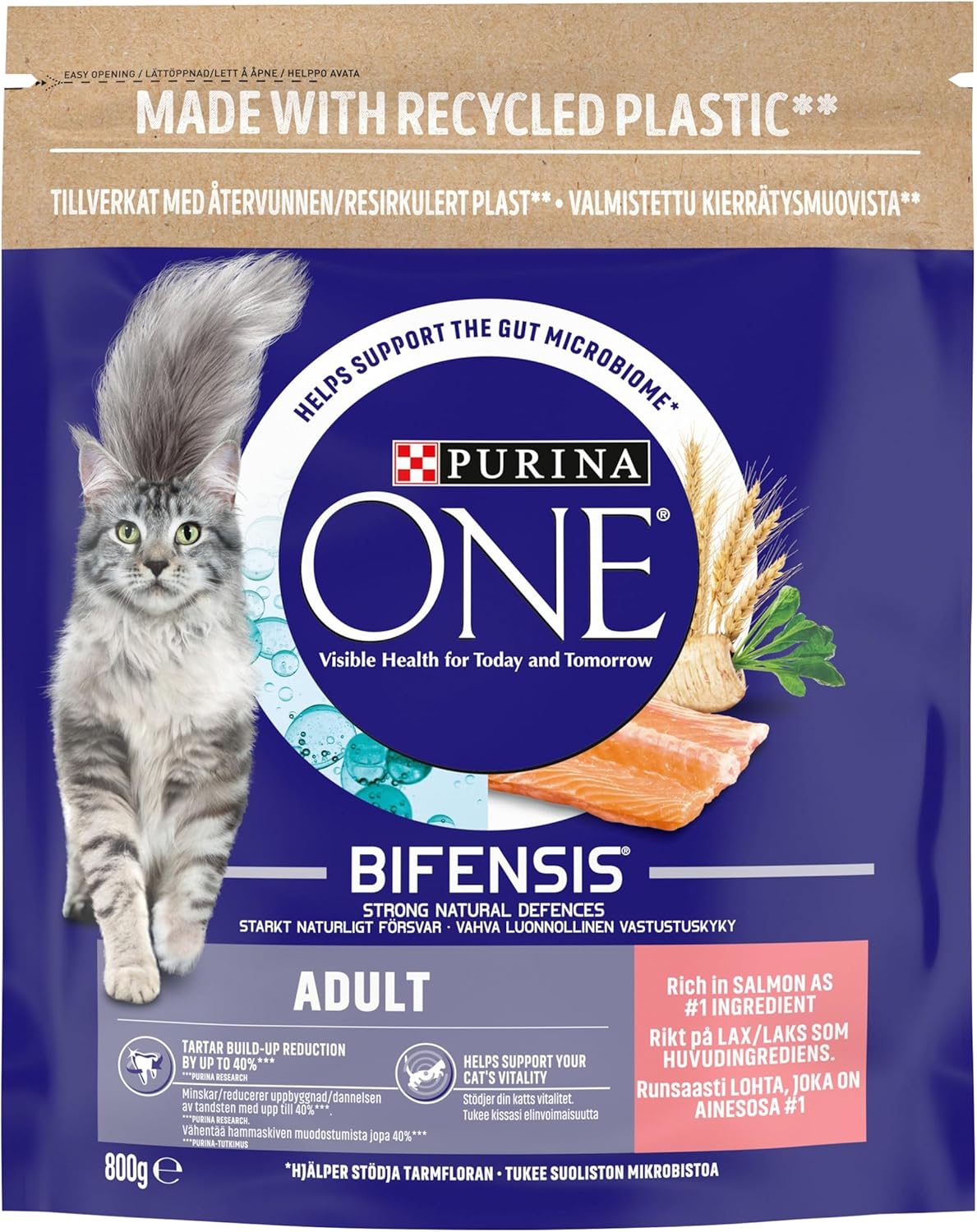 PURINA ONE Salmon Dry Cat Food 800g (Pack of 4)