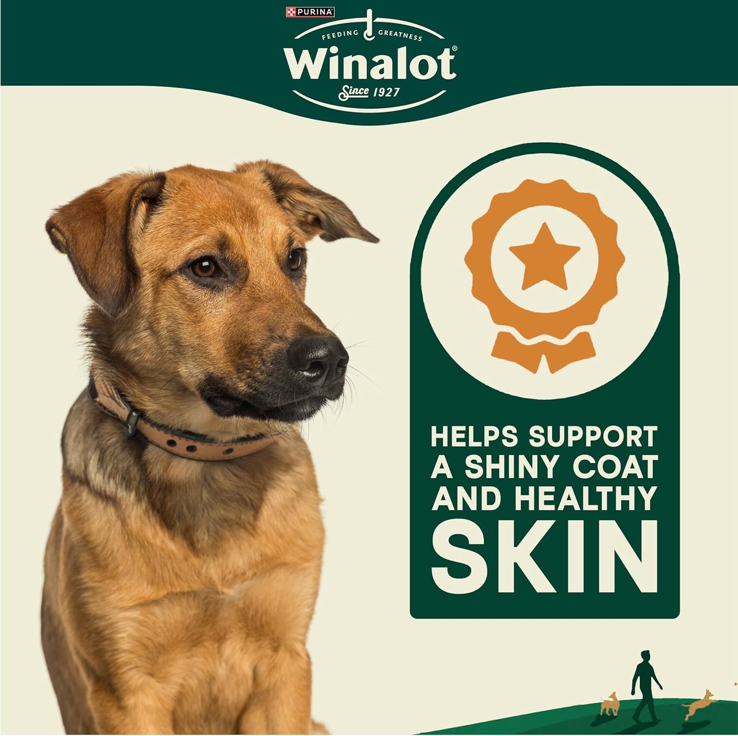 WINALOT Meaty Chunks Mixed in Gravy Wet Dog Food – 40 x 100g Pouches