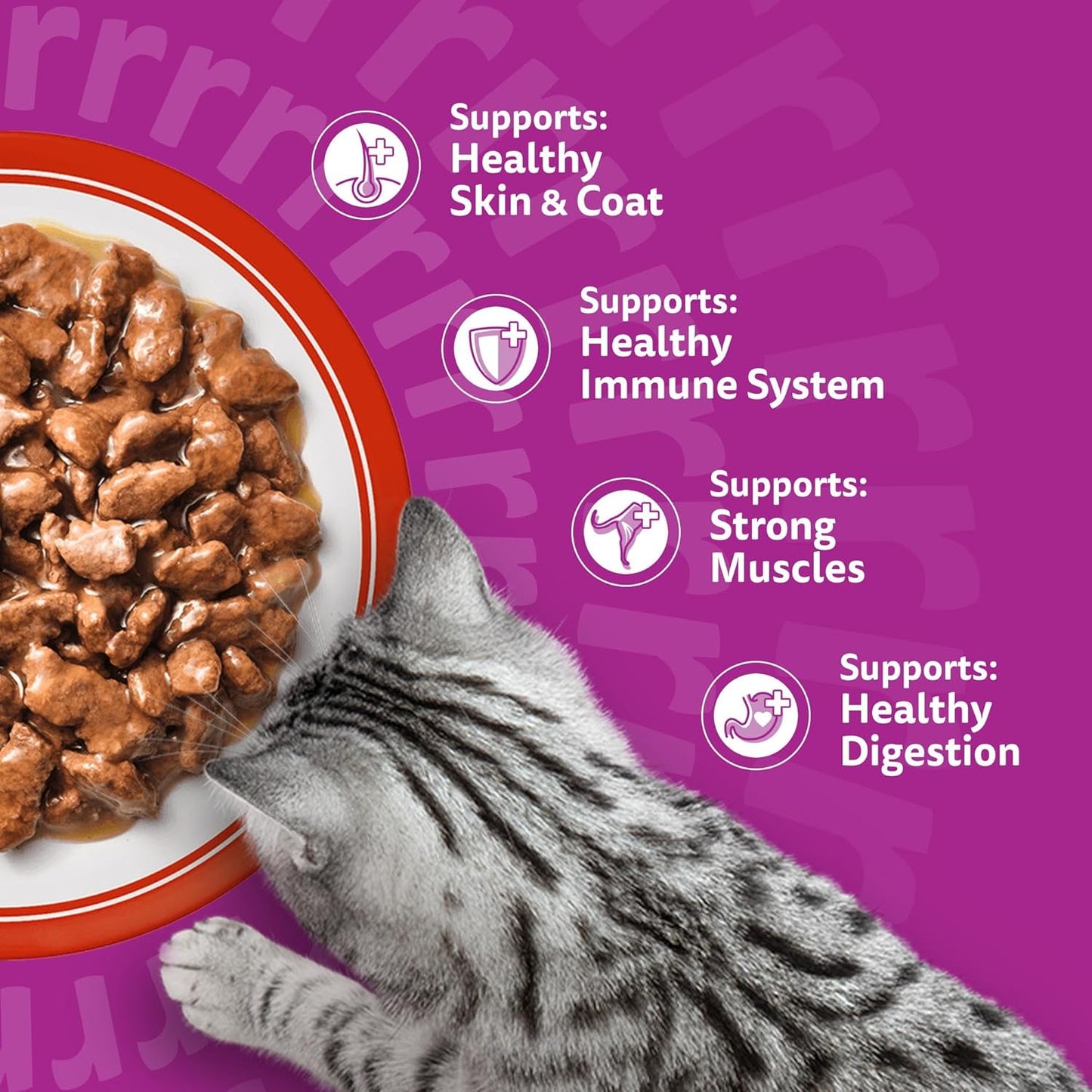 Whiskas 1+ Adult Classic Selection in Gravy | 84 x 85g