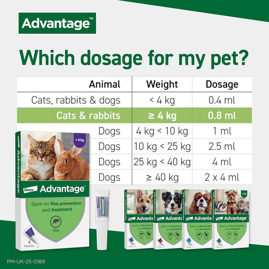 Advantage Spot-On Flea Treatment for Large Cats &amp; Rabbits Over 4kg – 4 Pipettes (80mg)