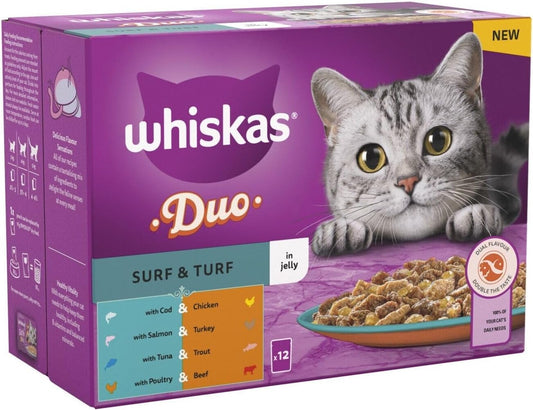 PURINA ONE Salmon Dry Cat Food 800g (Pack of 4)