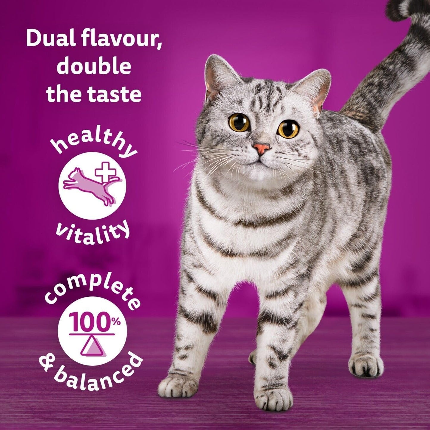 PURINA ONE Salmon Dry Cat Food 800g (Pack of 4)