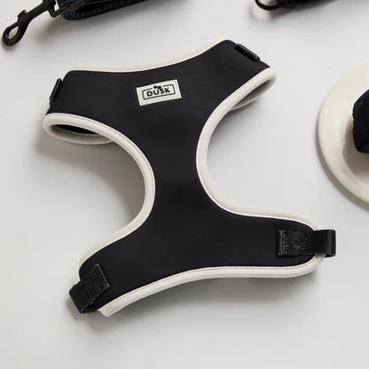 Dog Harness, Lead, Collar Set