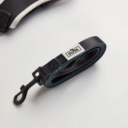 Dog Harness, Lead, Collar Set